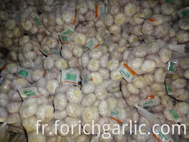 Good Quality Normal White Garlic From Jinxiang